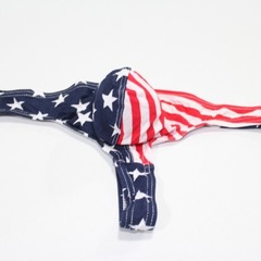 男士內褲 純棉男丁字t褲外貿速賣通美國國旗印花丁子褲頭一件代發