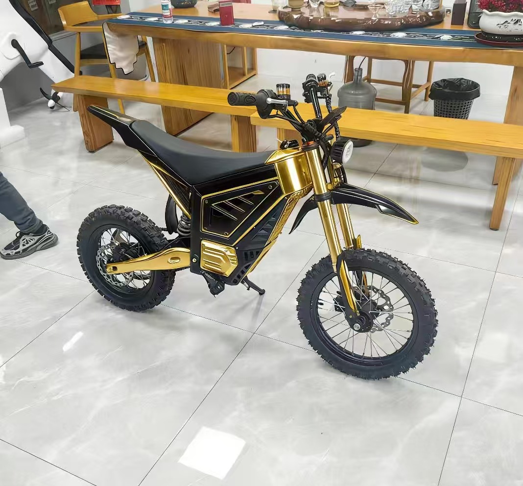 2026 New Model Popular Export Electric Motorcycle for Teenagers, Electric Dirt Bike, Off-Road Vehicle