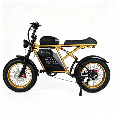 Retro Electric Motorcycle Off-road | Elektrikli motosikletlər