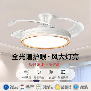 Modern Simple Fan Lamp Household Invisible Ceiling Fan Silent Fan Fan Lamp Restaurant Chandelier Factory One Piece Wholesale