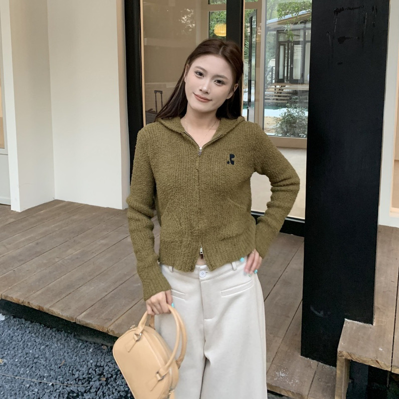 Korean Rest Rr Clottyteam Embroidered Rr Soft Teddy Fleece Hooded Zipper Knit Cardigan for Women