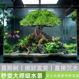 Ī˹���Ʒ��И�������ˮ�ݔ[���ɾ����˳�ľ��ɳ���~���쾰