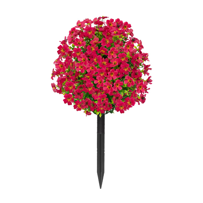 장미 붉은 꽃 04