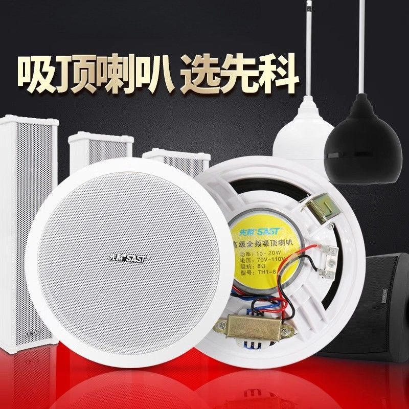 先科吸顶音箱店铺广播喇叭扬声器系统套装音柱室外防水天花吊顶响