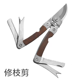 修枝剪;厨用剪刀;铁皮剪