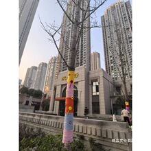 �������b���ë���p��diy��������ë��ë���b���W�t�����