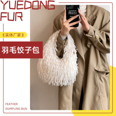 韩版时尚大容量简约女士链条羽毛包纯色手提质感晚宴饺子腋下包