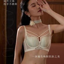 3353����ˬ�ᱡ��˿��£���屴�Ǳ����ݲ������µ���������Ȧ����