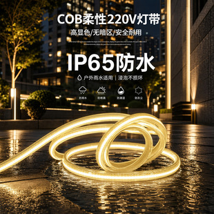 cob�����Գ������l����������߉���ˮ���l220v�羳cob288�l��