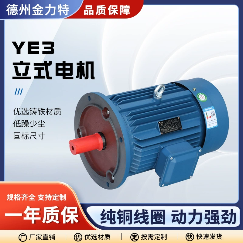 4-полюсный YE3 трифазный асинхронный двигатель 0.55kW-30kW полностью медный вертикальный двигатель 380V вертикальный двигатель