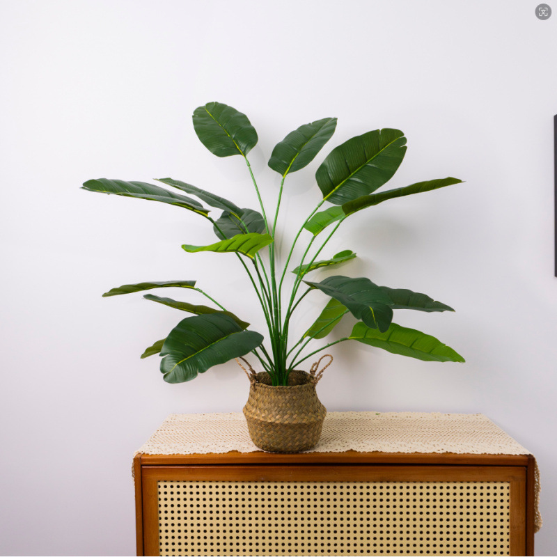 モンステラ 大型鉢植え 水耕栽培 大葉植物 古い杭 リビングルーム 大型緑の植物 花 オフィス オープンバックで富を引き寄せる|undefined