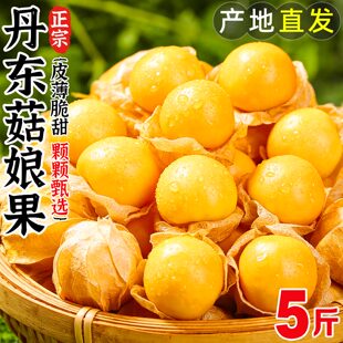 �|����������r��������\����������Ҋˮ��������]ϡ��Ź֑���