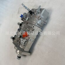 康明斯6B5.9发动机燃油泵C5254184配压路机铲车吊机挖掘机摊铺机