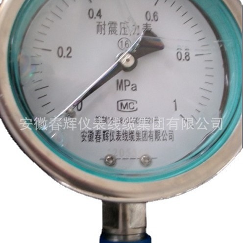不锈钢耐振压力表YBFN-100 YBFN-150