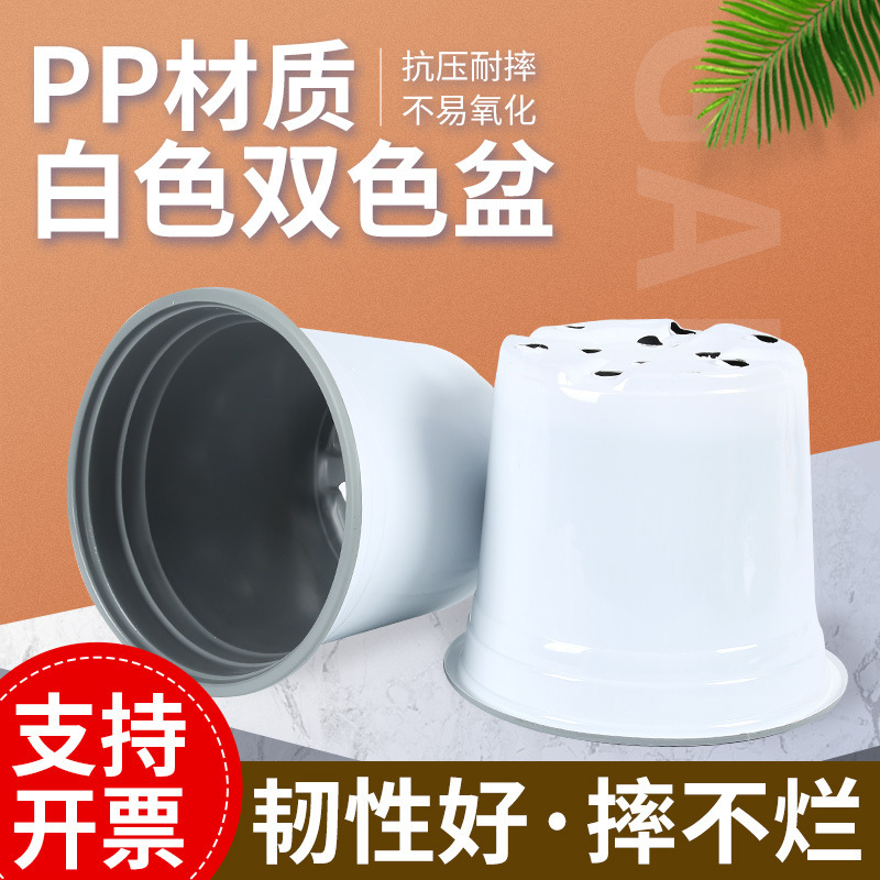 Two-color seedling pot white disposable flower pot plastic drop-resistant thickened nutrition bowl seedling Cup succulent planting pot