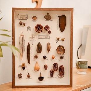 Three-Dimensional Hollow Photo Frame Butterfly Specimen Animal Plant Leaves Stone Insect Specimen Photo Frame DIY Production