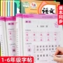 同步语文小学生写字字帖