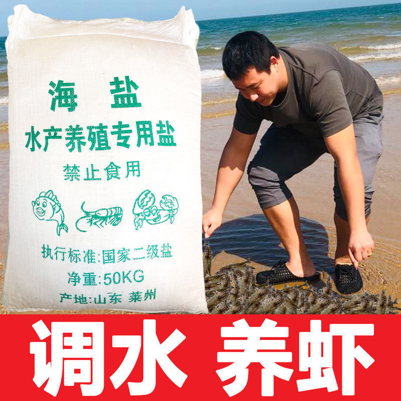 Sea salt aquaculture salt shrimp water diversion Koi Fish Pond Farm kill crude salt industrial salt