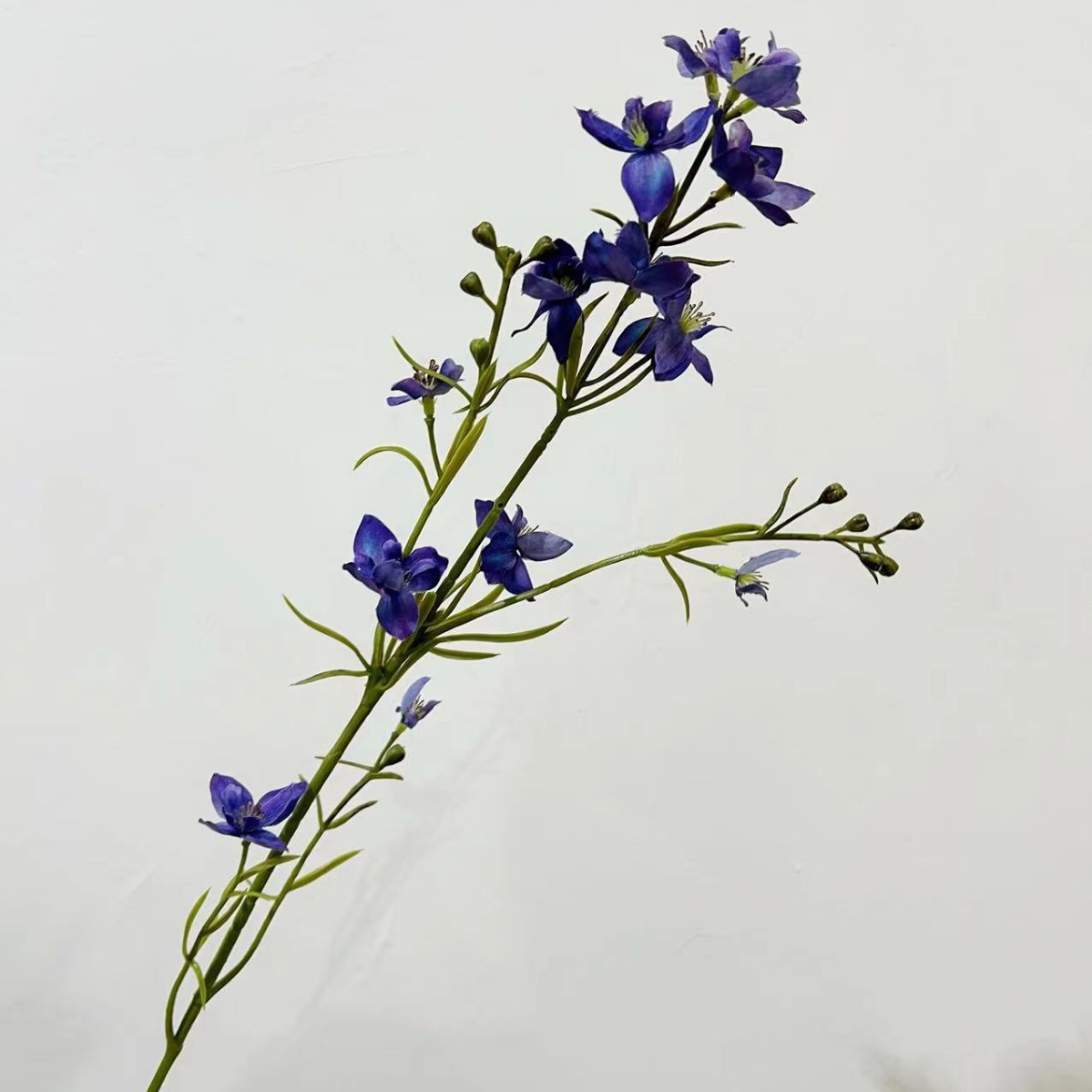 껌 가지 병아리 풀-보라색