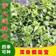 ʳôɏNӿđݷNԭbNļ߲˷NӴȫ˷NӴl