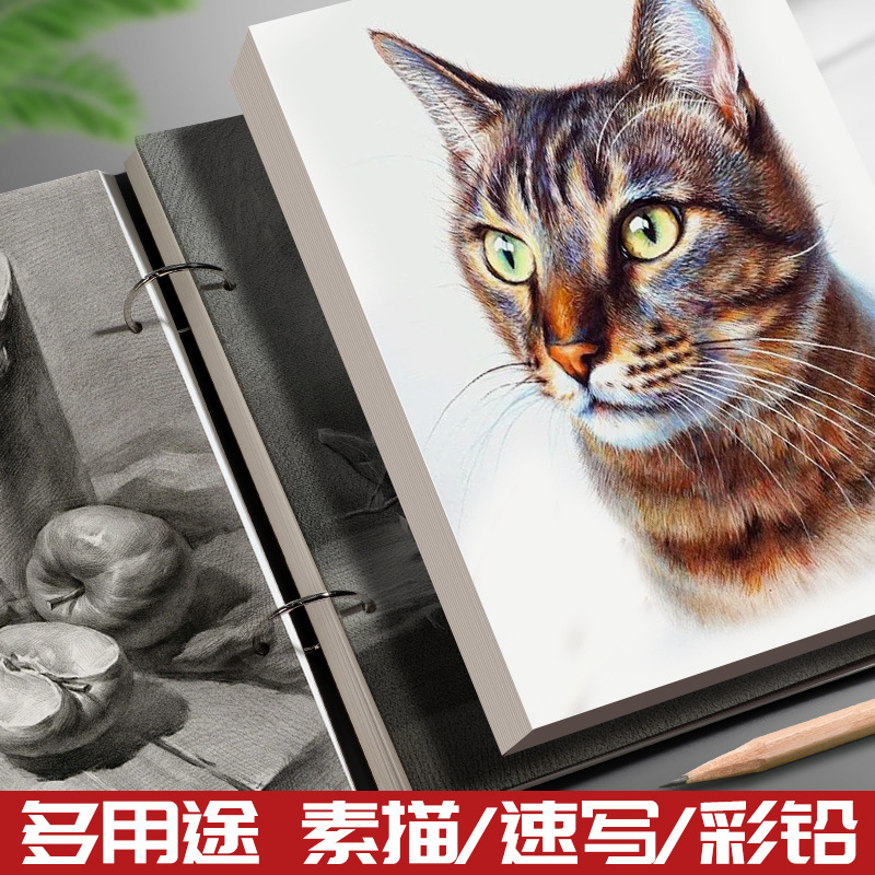 厚みのあるスケッチブック 32k スケッチブック A4 お絵かきブック A5 ルーズリーフ取り外し可能な小型ポータブルミニ 8K お絵かきブック|undefined