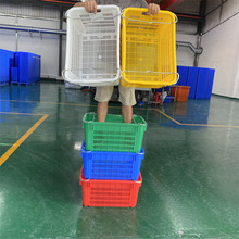 �S�ҬF؛�����B�TʳƷ���D�� ��ɫ���F���U���z�� 2.8����˿�