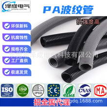 SlPAϲyyܛܲyܛ늾ܛ