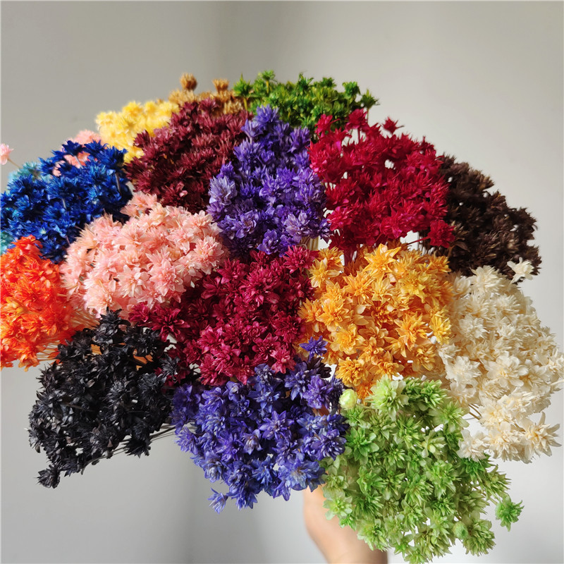 Small mountain flower dried flower bouquet decoration light luxury high-end diy material real flower air-dried imported specimen flower material