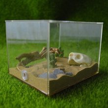 ʩ��ρ�^ ����ɳĮ���쾰���� �b�Ʒ  ���x����Λρ����Ʒ