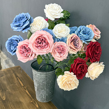 ��֦õ����滨��c����ܛ�b�����b��W�tõ��Ҿә���õ��ٻ�