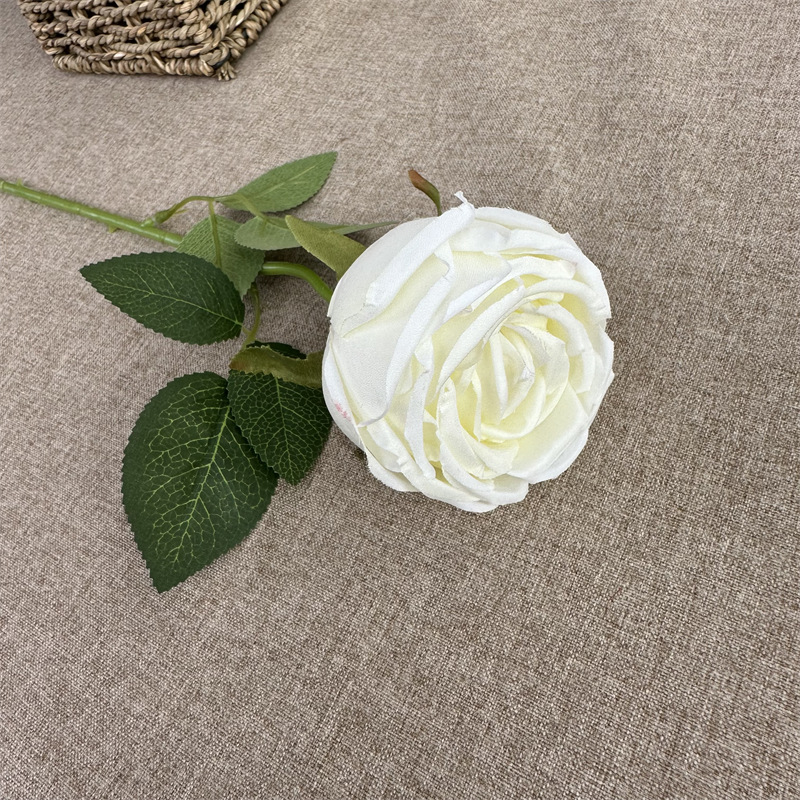 Single French Rose White