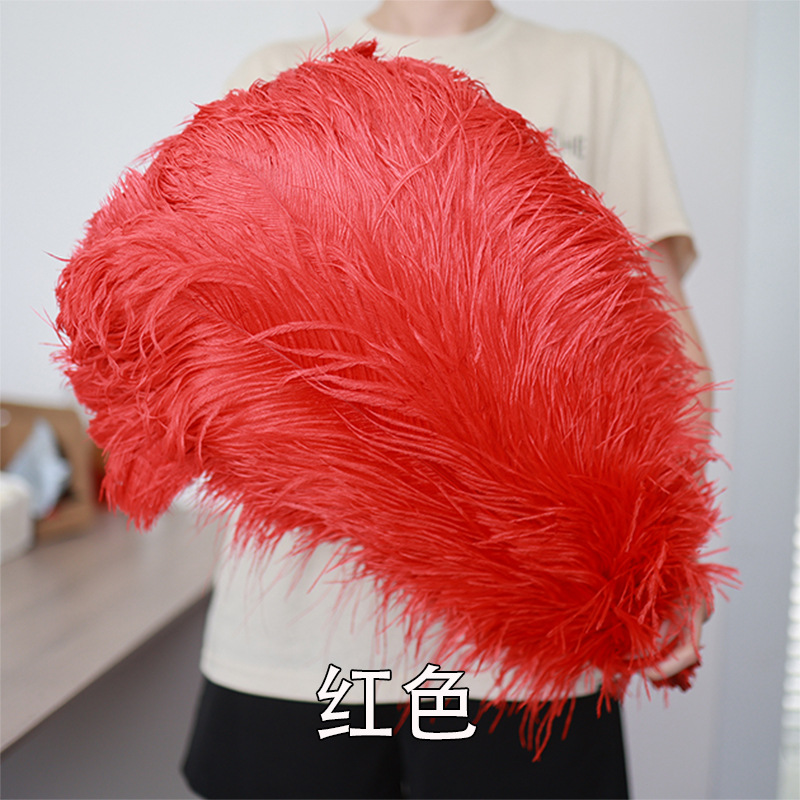 55 - 60cm plumas de avestruz de Sudáfrica al por mayor accesorios de ropa DIY accesorios materiales accesorios de diseño de boda lana de avestruz