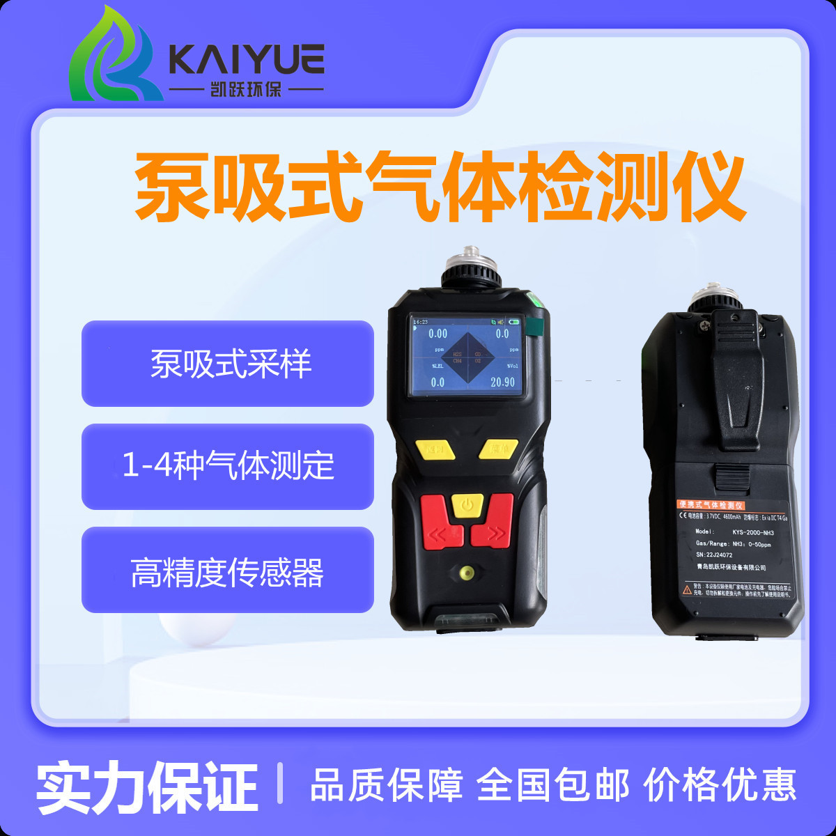 KYS-2000型甲醛报警仪 甲醛浓度分析仪 凯兴佳跃