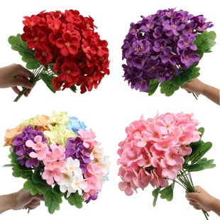 ���潑�� �ҾӾƵ�廨�b[�� ��Y�û������zӰ���߼ٻ����l