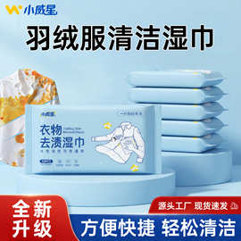 衣物去渍湿巾冲锋衣衣物家用免洗强力去油去污干洗便携清洁湿纸巾