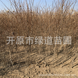 �������l��ȸ�\�u���ͺ��G����ľ�\�u����|�����\�u�י��l����