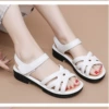2339 white