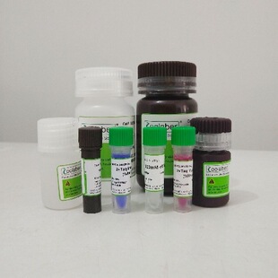 0.5M EDTA��Һ��pH8.0��