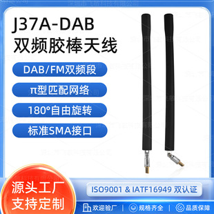 J37 �p�lFM/DAB�����쾀 174-239/87.5-108MHz 50&Omega; 180�����D