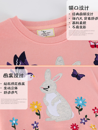 Children's Long Sleeve Sweatshirt Dress - Autumn New Arrival for European and American Girls, Sweatshirt Dress for Girls