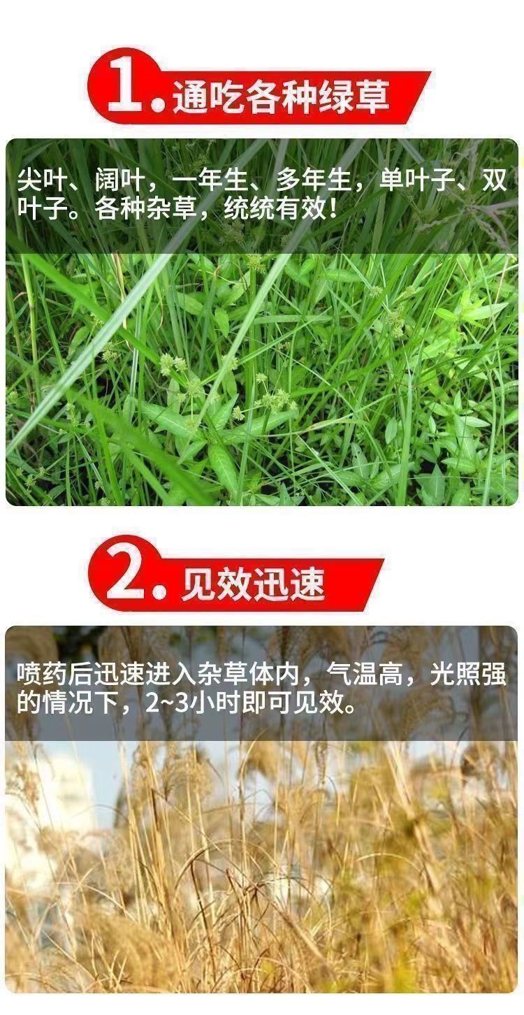 a5c7caf3-b5a0-4f4a-906c-01ea575e44ec.jpe