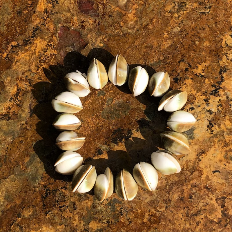 Conchas naturales conchas pulseras collares diy fresco versátil joyería correa de mano tienda artesanía característica fuente