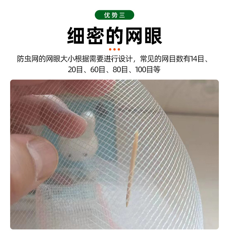 防虫网_07