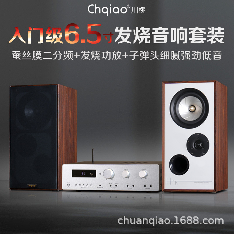 ChqiaoHIFI 6.5寸发烧级无源音箱组合功放套装高品质无损发烧音箱|undefined