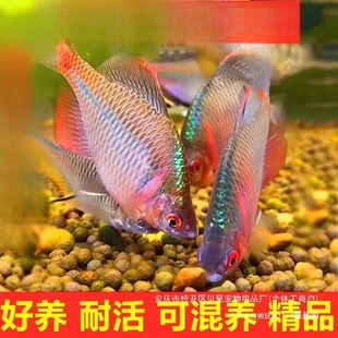 �S�Һ��B���w�~�Q�߲��~�^�p�~��ˮ�~��ˮ�~��С����Ƥ��Ƥ�~ԭ��