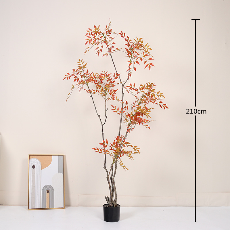 Sensación de bambú rojo Nantian-210cm