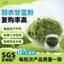 散装样品水溶羽衣奶昔