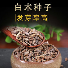 ���g�N�ӷN����ș�ĸ������g�N�Ѵ����ļ��Nֲ�m���ϱ��������N��