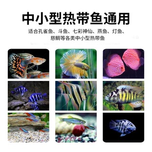 С���~�~ʳС�w���~��ϰ��R�~��ȸ�~�~�Z�²ʶ��~�����ϸ��Ꭷ�~