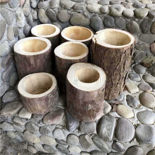 Wooden pile flowerpot creative pine camphor wood log tree stump wooden succulent plant Dendrobium wood pile flowerpot